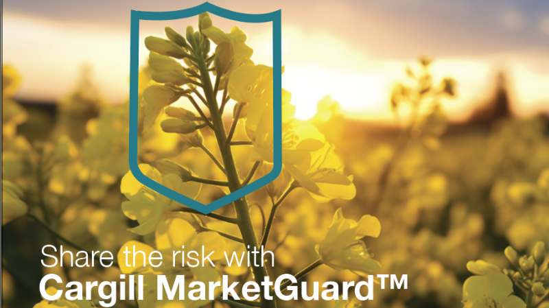 MarketGuard promo image MarketGuard promo image