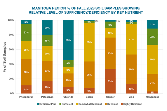 MB Graph 2024