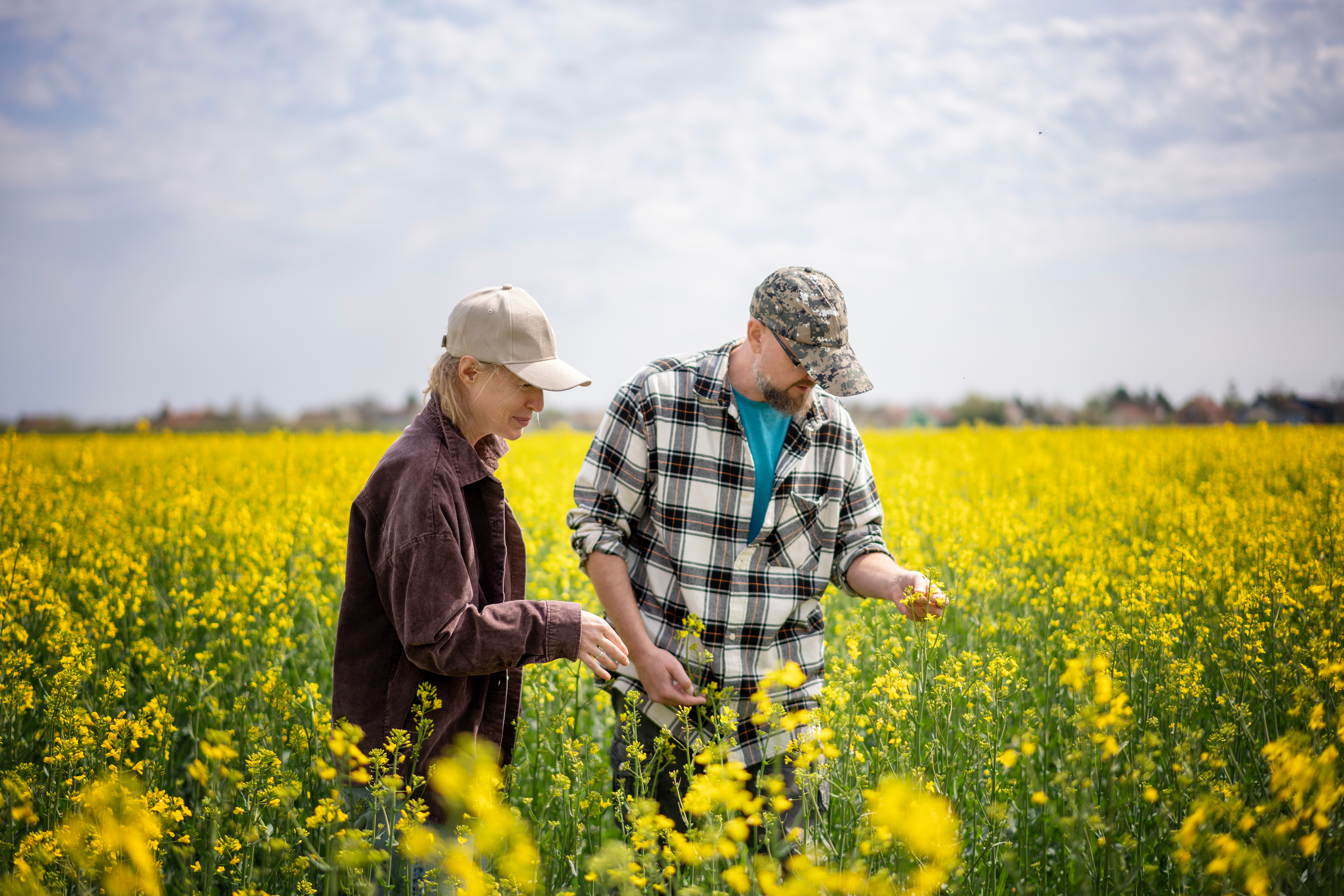 MarketGuard people in canola field MarketGuard people in canola field